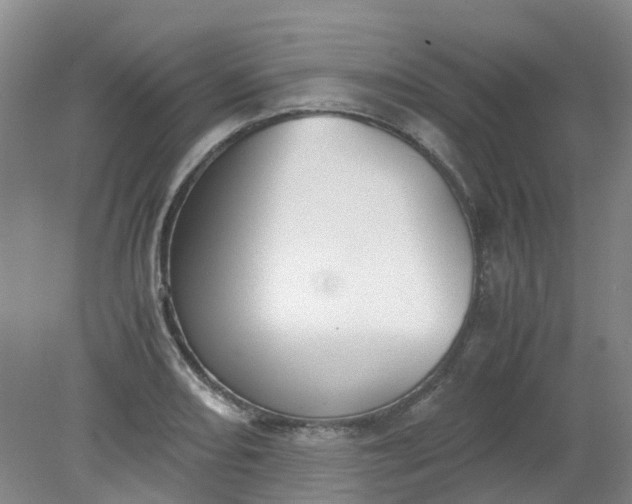 X0000079321082200612011836