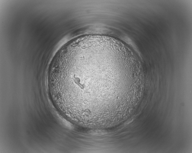 X0000079321083200612011836