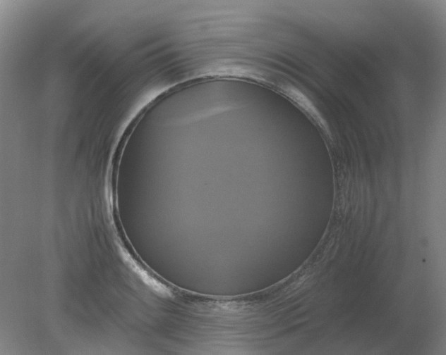 X0000079321084200612011836