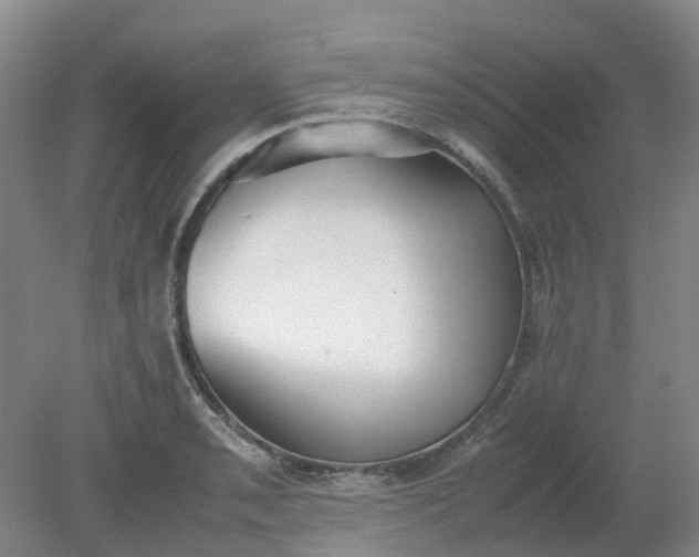 X0000079321085200612011836