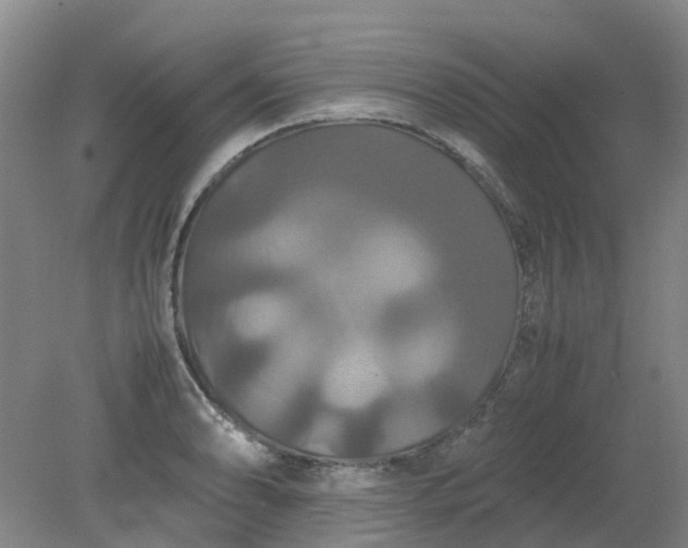 X0000079321086200612011836