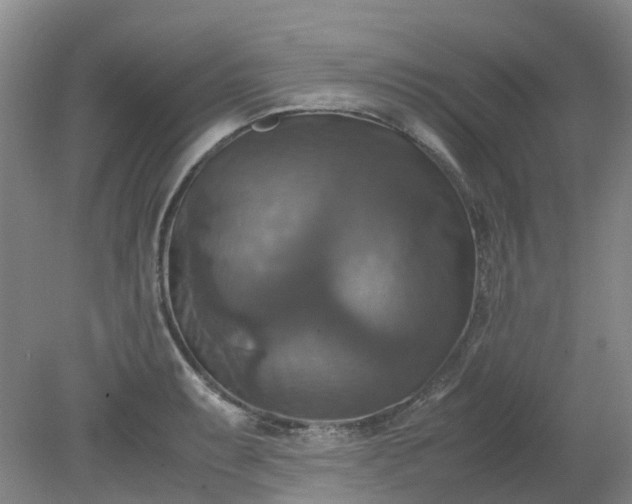 X0000079321087200612011836