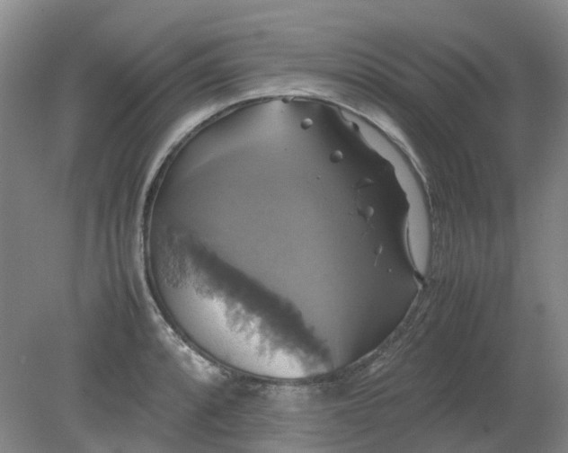 X0000079321088200612011836