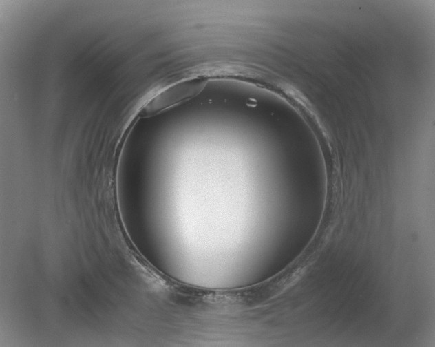 X0000079321089200612011836