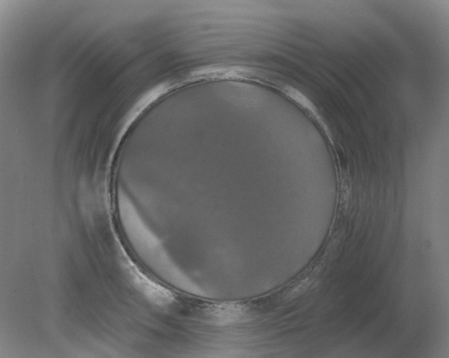 X0000079321090200612011836