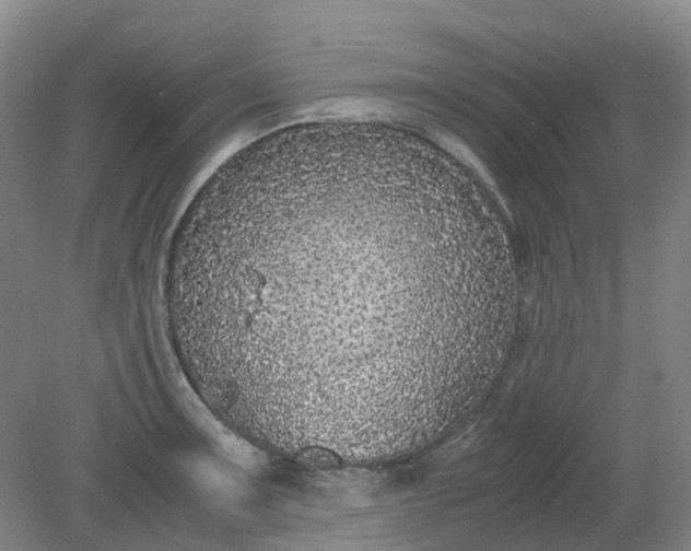 X0000079321091200612011836