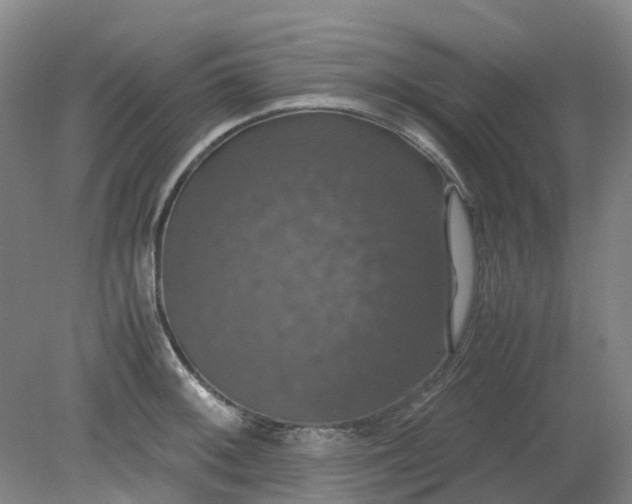 X0000079321092200612011836