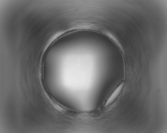 X0000079321093200612011836