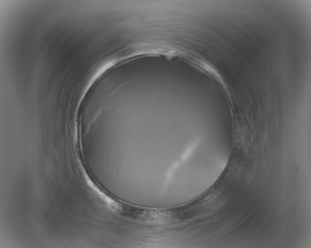 X0000079321095200612011836