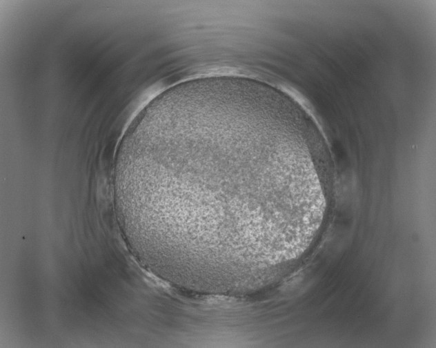 X0000079321097200612011836