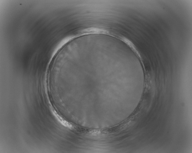 X0000079321098200612011836