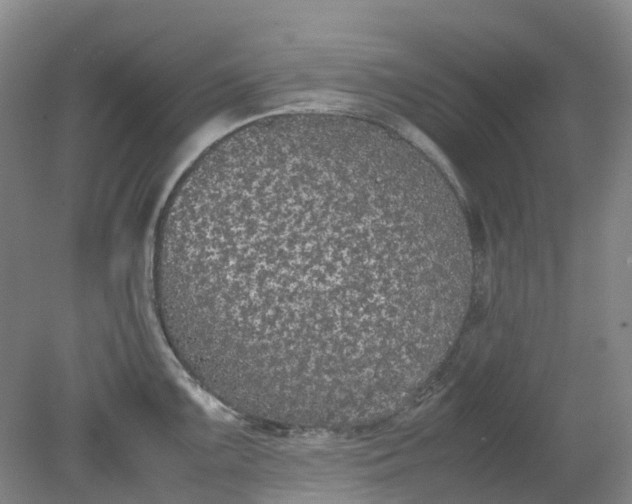 X0000079321099200612011836