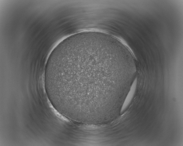 X0000079321100200612011836