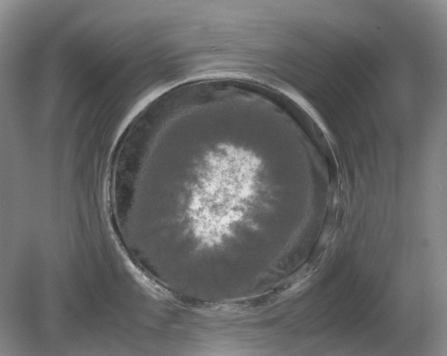 X0000079321101200612011836