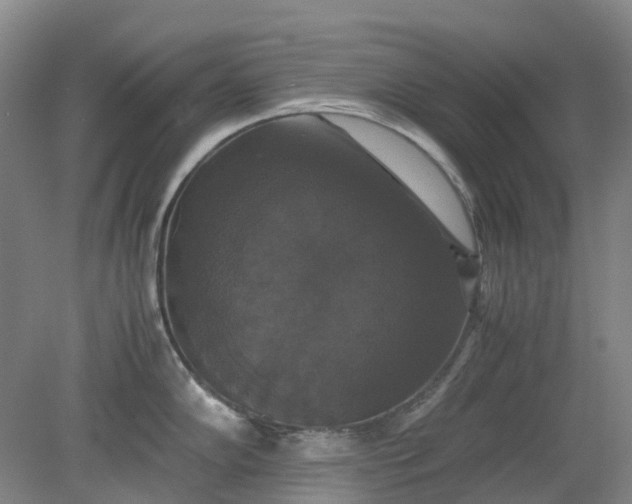 X0000079321102200612011836