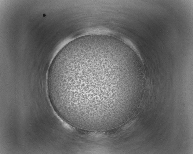 X0000079321103200612011836