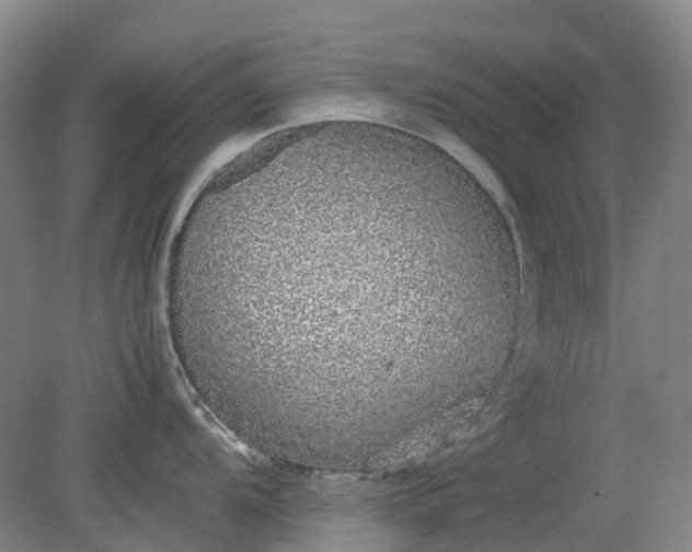 X0000079321104200612011835