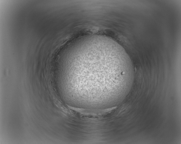 X0000079321105200612011835