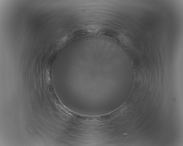 X0000079321106200612011835