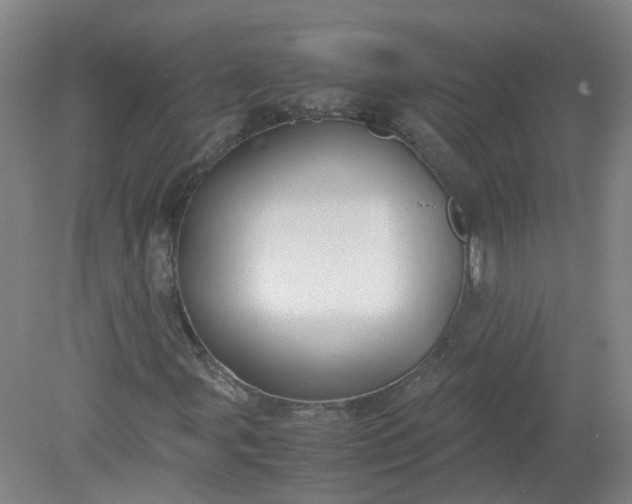 X0000079321107200612011835