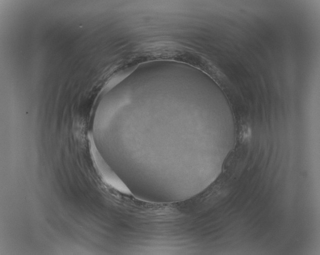 X0000079321108200612011835