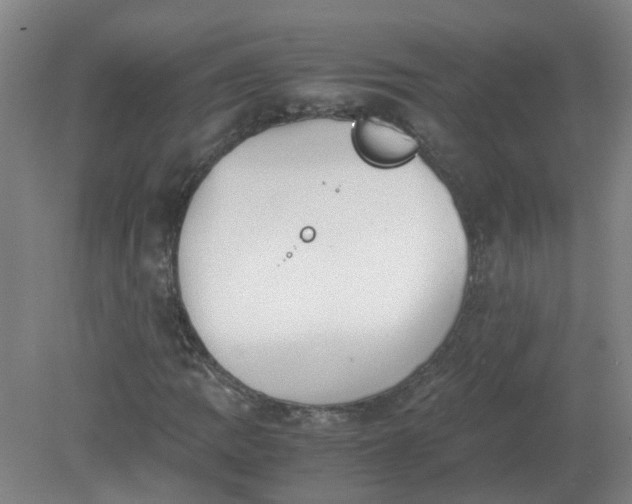 X0000079321109200612011835