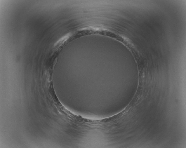 X0000079321110200612011835