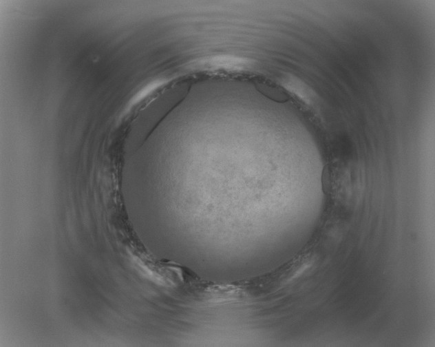 X0000079321112200612011835