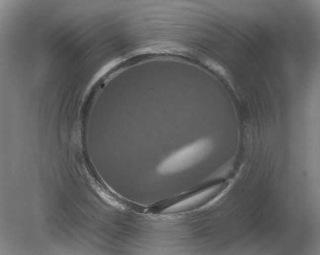 X0000079321114200612011835