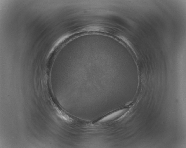 X0000079321115200612011835