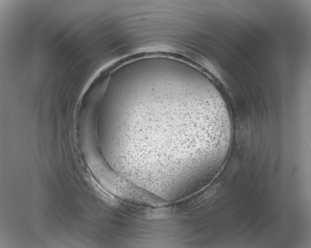 X0000079321116200612011835