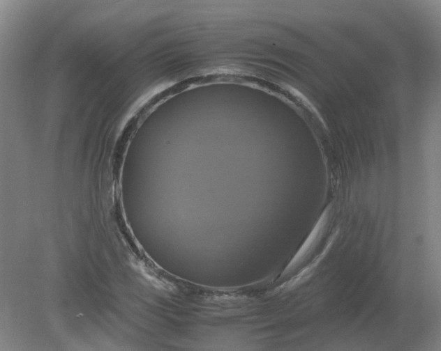 X0000079321117200612011835