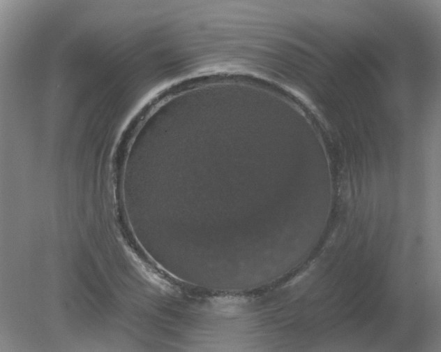 X0000079321118200612011835