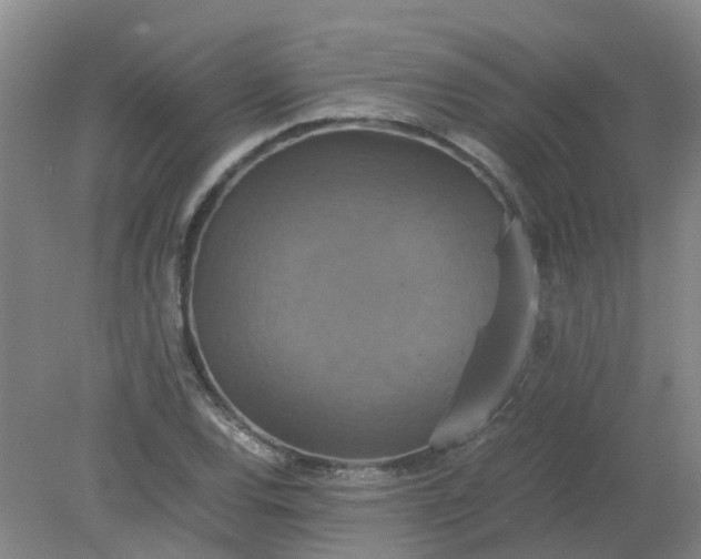 X0000079321120200612011835