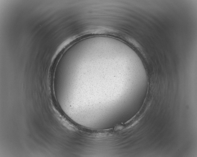 X0000079321122200612011835