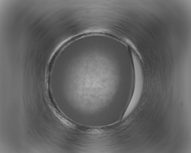 X0000079321124200612011835