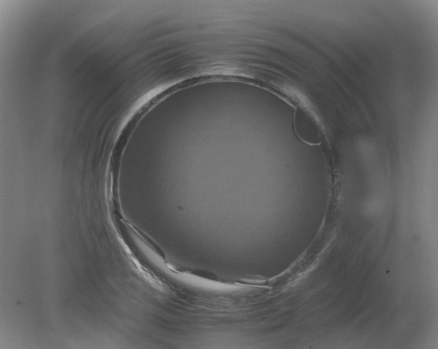 X0000079321125200612011835