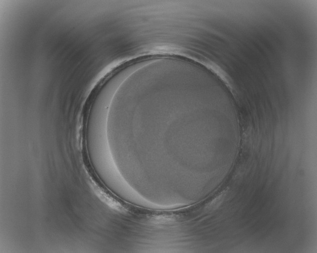 X0000079321126200612011835