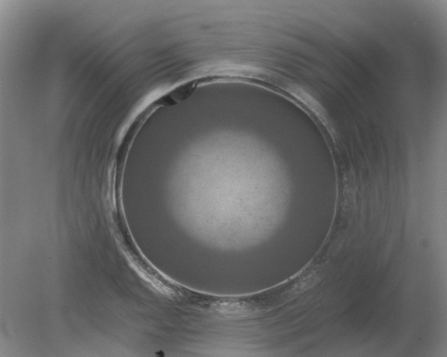 X0000079321128200612011835