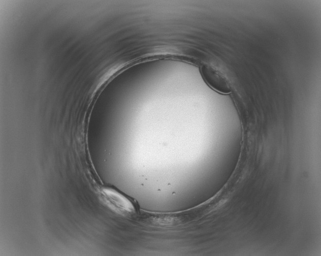 X0000079321129200612011835