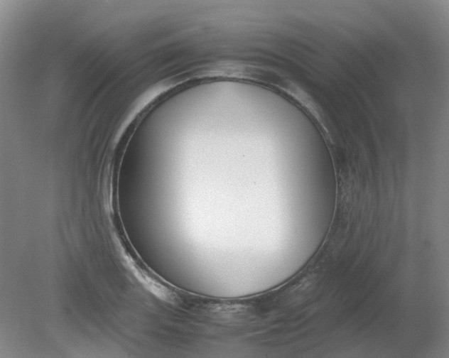 X0000079321131200612011835