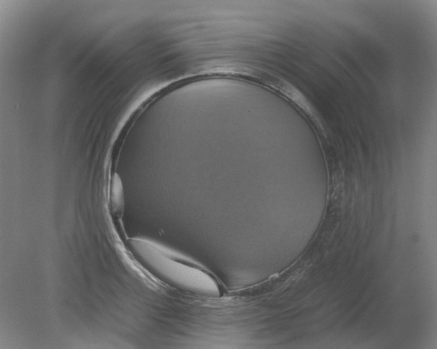 X0000079321132200612011835