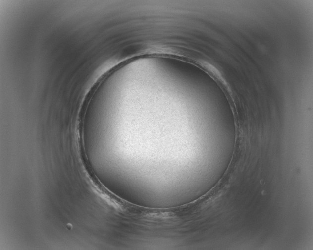 X0000079321133200612011835