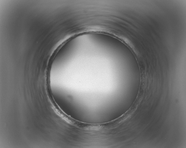 X0000079321134200612011835