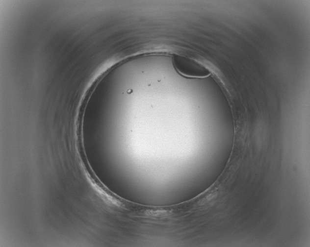 X0000079321135200612011835