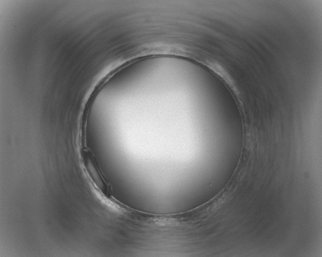 X0000079321136200612011835