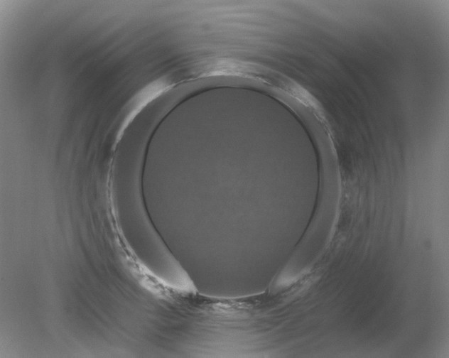 X0000079321138200612011835