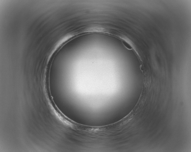 X0000079321139200612011835