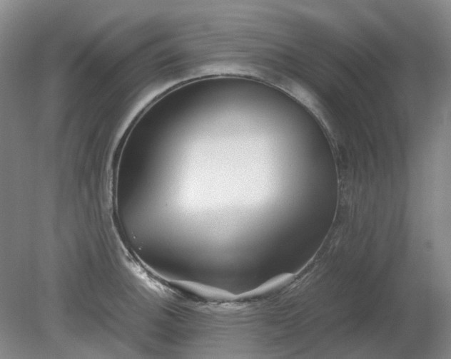 X0000079321140200612011835