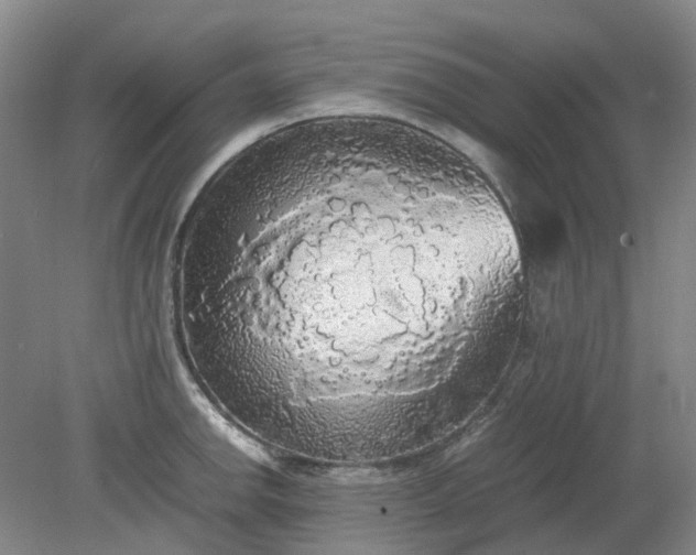 X0000079321142200612011835